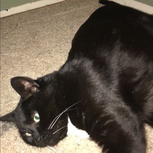 Meet your Posher, Sally